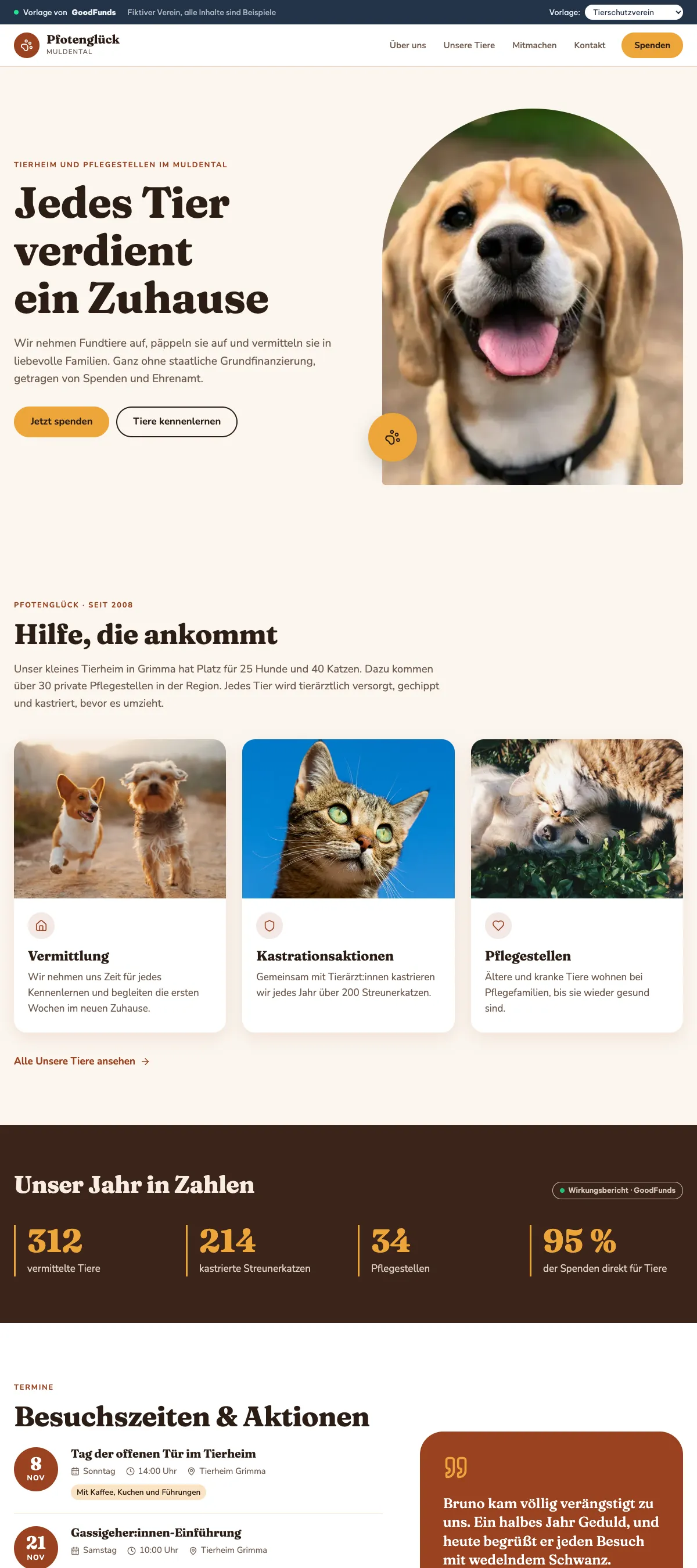 Vorlage Tierschutzverein auf Desktop und Telefon